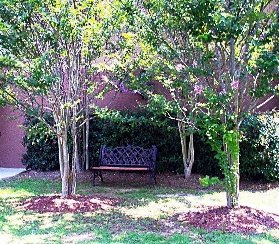 Hampton Inn Cartersville Ngoại thất bức ảnh